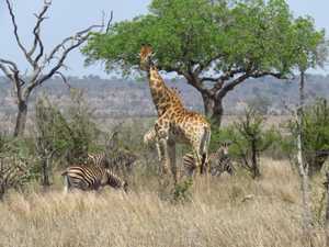 1886e6e3-9eb3-465e-8fcc-5a0dc8a8c9b5 2