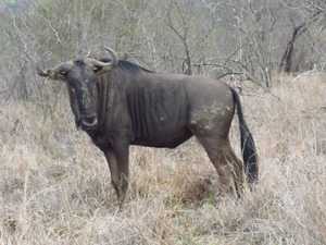 8e5f0393-99a6-484a-b86e-fc0f865d37d6 3