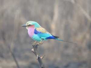 fefc7019-c894-4331-ac3b-a46c6e274c80 3