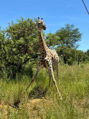 641bae4e-a3c8-4b25-83fb-fcb1a3c9c7a1 3