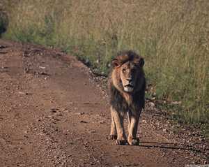 5b771432-4640-428f-a280-867afb0a156c 3