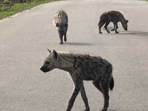 edf306e7-bb81-4ac7-a521-56d0e811caf4 3