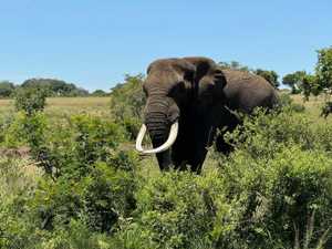 WhatsApp Image 2025-03-01 at 14.33.00