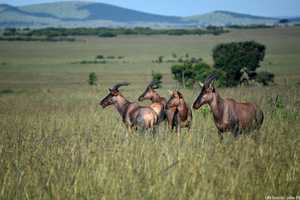 7a8b7f3b-8f56-46af-a933-1d7a2f19fe0c 3