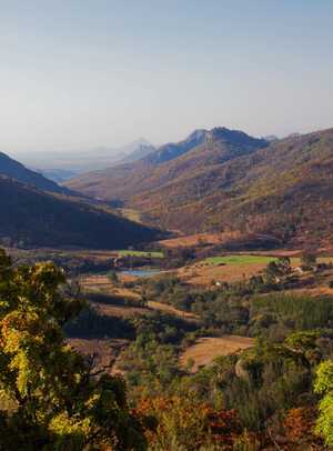 5977d629-1c70-4b50-8717-4a5d19dbac8b 3