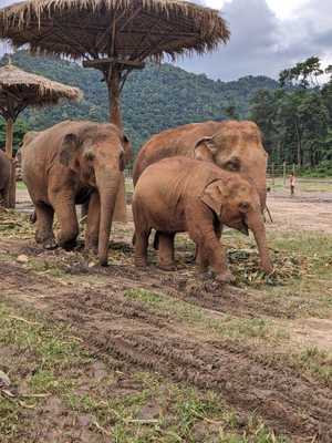 0b16066a-f59e-4307-8cd3-4b6cec336d29 3