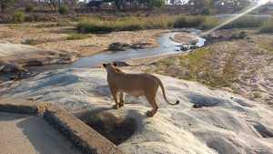 7d5da1a0-3968-4160-b620-872f82140310 3