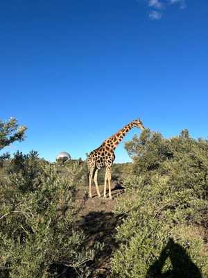 d9602a97-68c8-4921-a8d5-9f2834f39c91 3