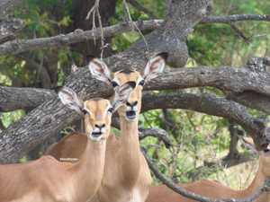 e14ae4d1-e0f6-401c-8d98-1c0469e89e38 3