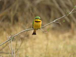 6f13c53a-a23d-4aa8-a800-39c0a395ed2b 3