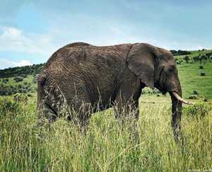 3d9e55eb-60d0-4c54-8f1a-dd116677b6d6 3