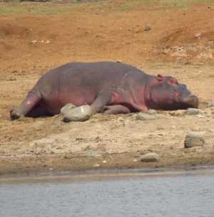 2b07492d-90b6-43ee-a813-2aa2da119ef3 3