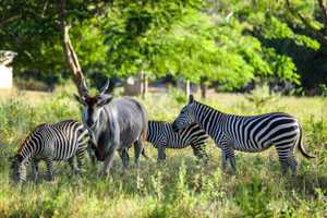 5b1c2ba4-5563-41a4-8cfb-26000c7b2a2f 3