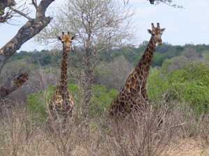 5536facb-5228-4417-87be-44061e765241 3