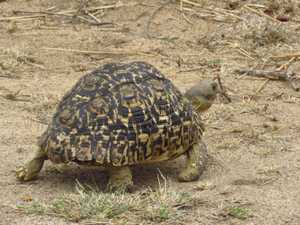 9b95caa6-8363-43a2-bd70-86e58c328613 3